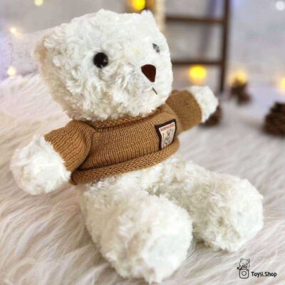 عروسک پولیشی نرم اورجینال وارداتی خارجی خرس تدی پولیوری