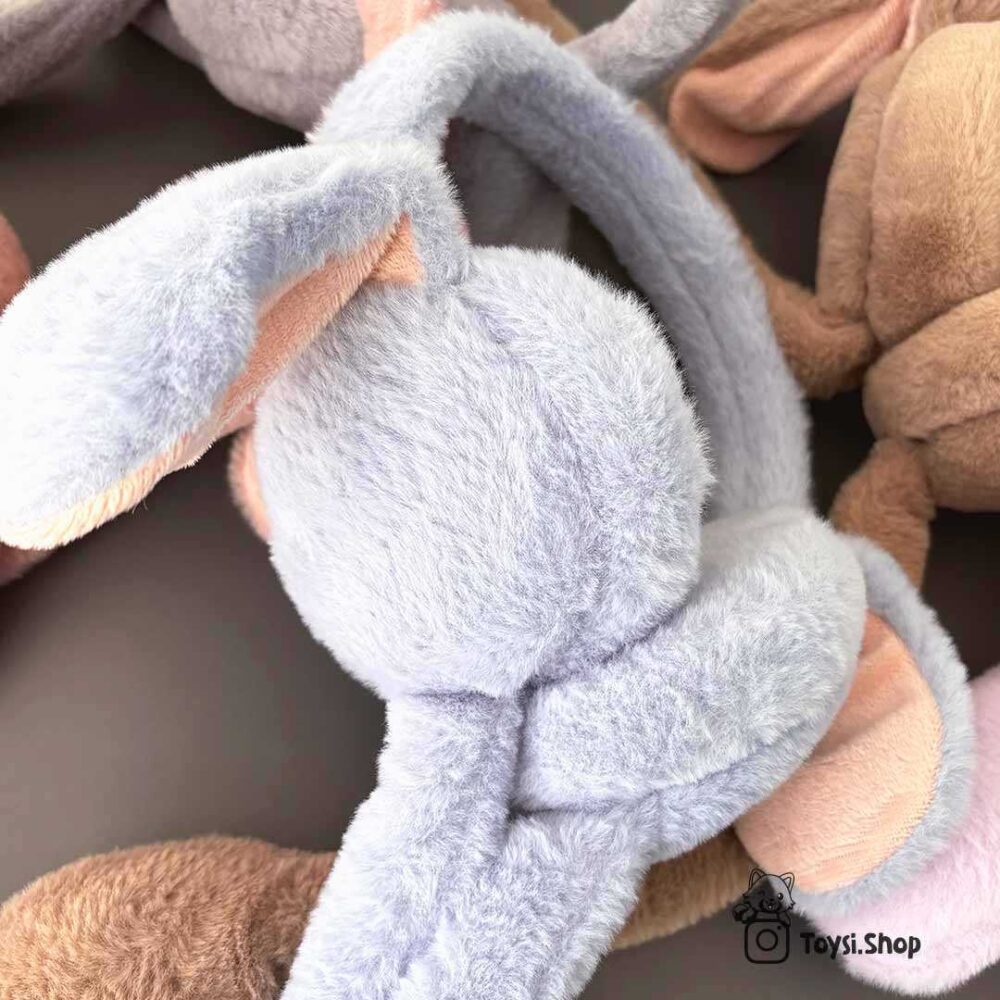 گوشگیر پمپی