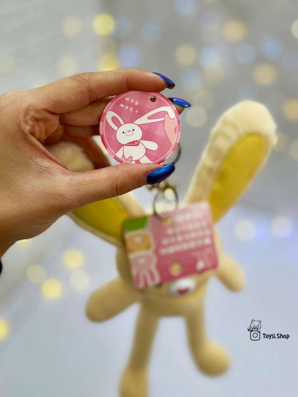 جاکلیدی پولیشی