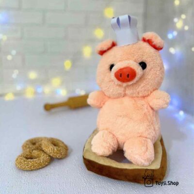 نمونه-درست-پست-اینستاگرام