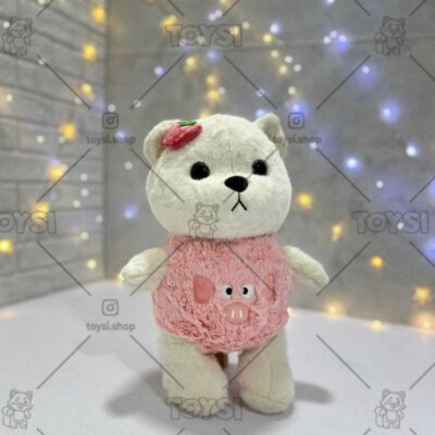 خرس لباس دار آبی صورتی