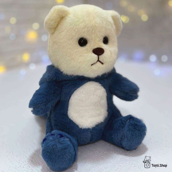 عروسک خرس هودی دار