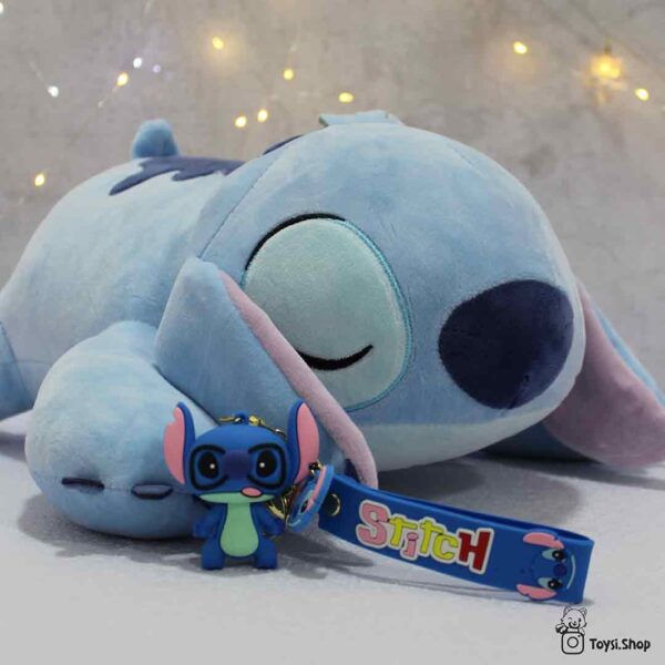 بالشت استیچ