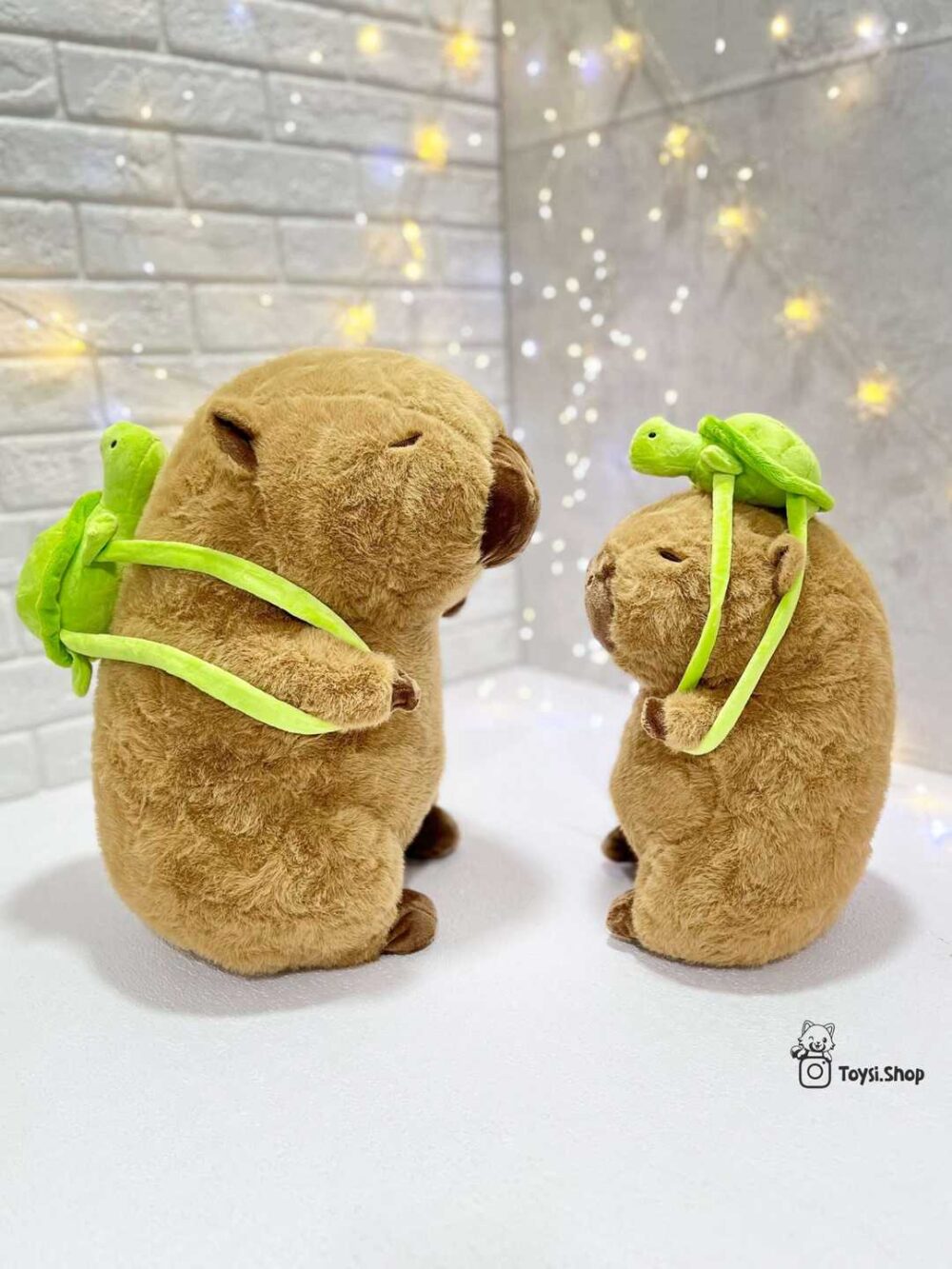 عروسک خوکچه هندی کوله لاکپشتی