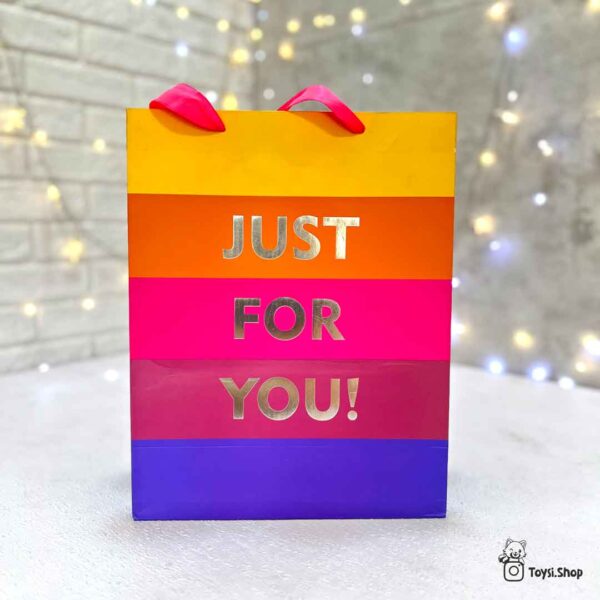 ساک کادویی رنگارنگ