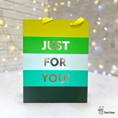 ساک دستی هدیه رنگارنگ