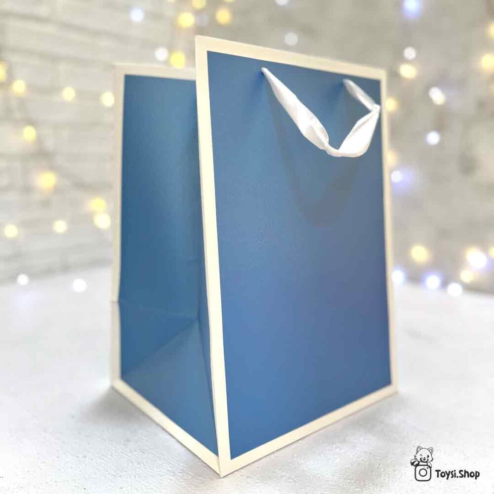 ساک دسته دار هدیه