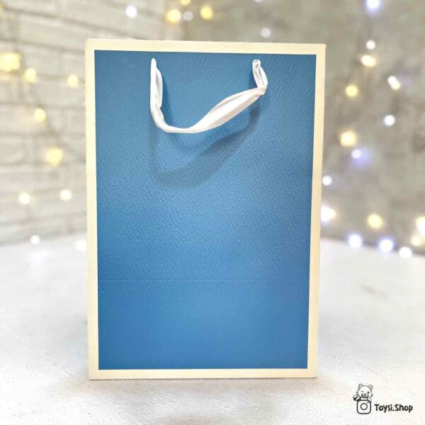 بگ هدیه مربعی