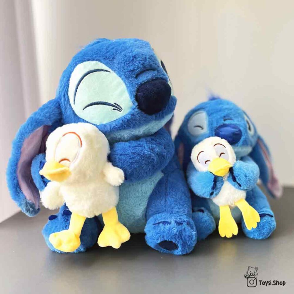 استیچ اردک به دست