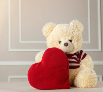 خرید عروسک ولنتاین