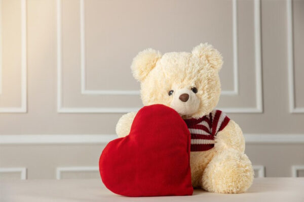 خرید عروسک ولنتاین