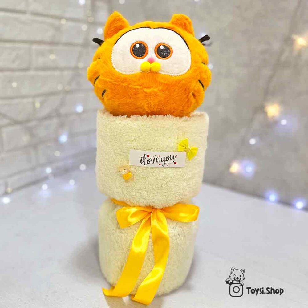 بوکت گارفیلد ولنتاین بوکت عروسک گارفیلد کرانچی