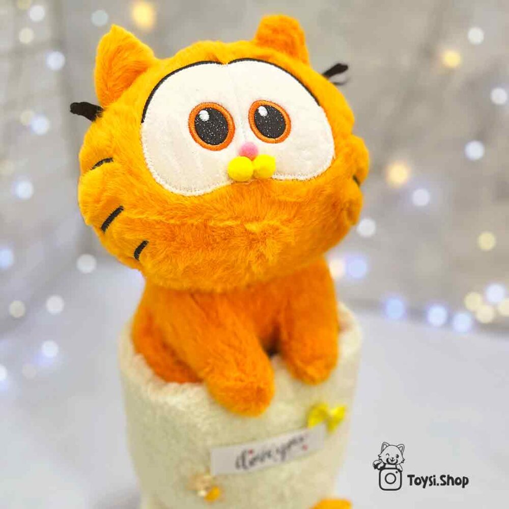 بوکت گارفیلد ولنتاین بوکت گارفیلد ولنتاین