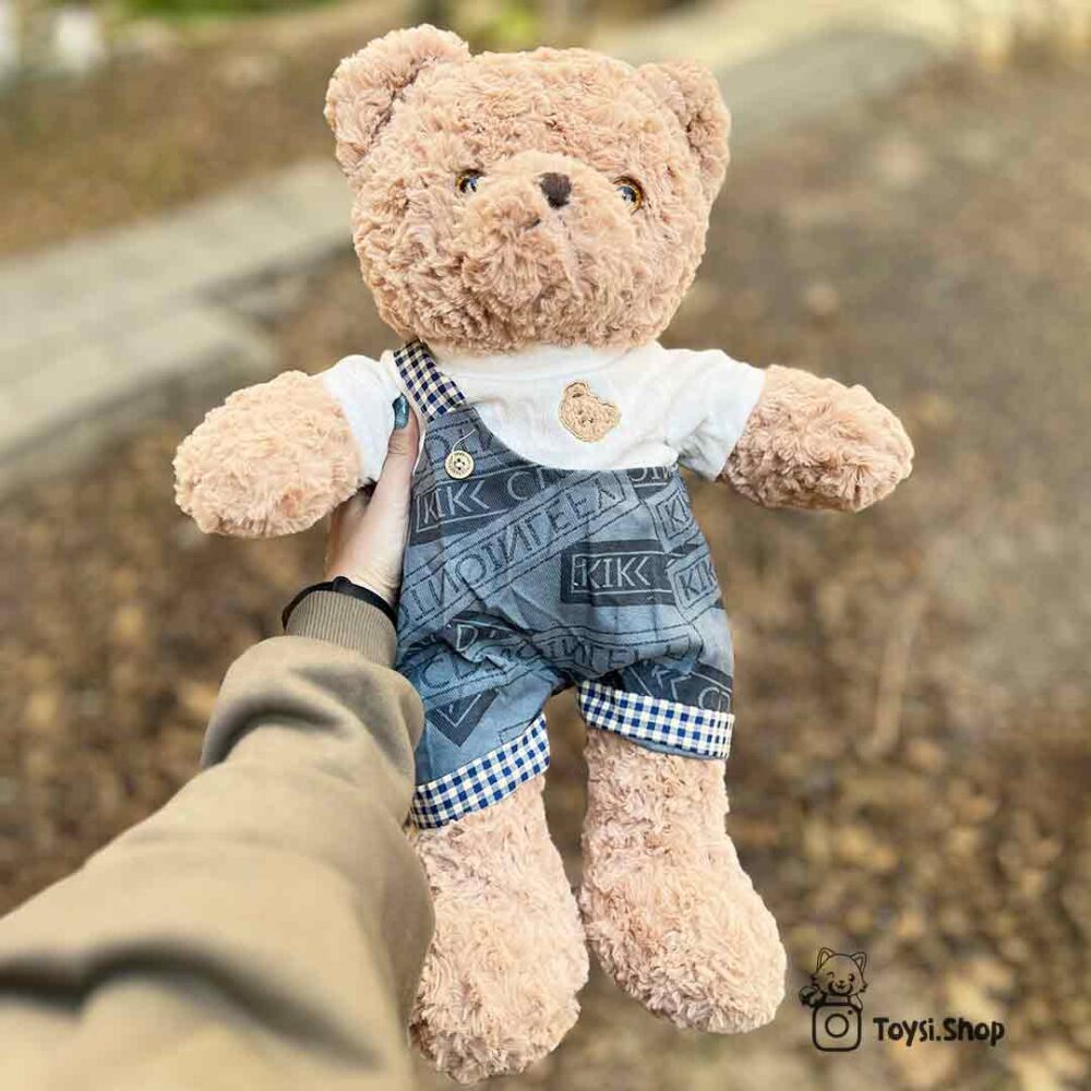 قیمت عروسک خرس پسر