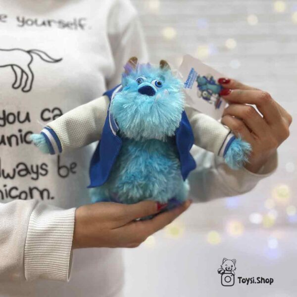 بوکت سالیوان خارجی