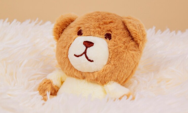 خرید عروسک پولیشی