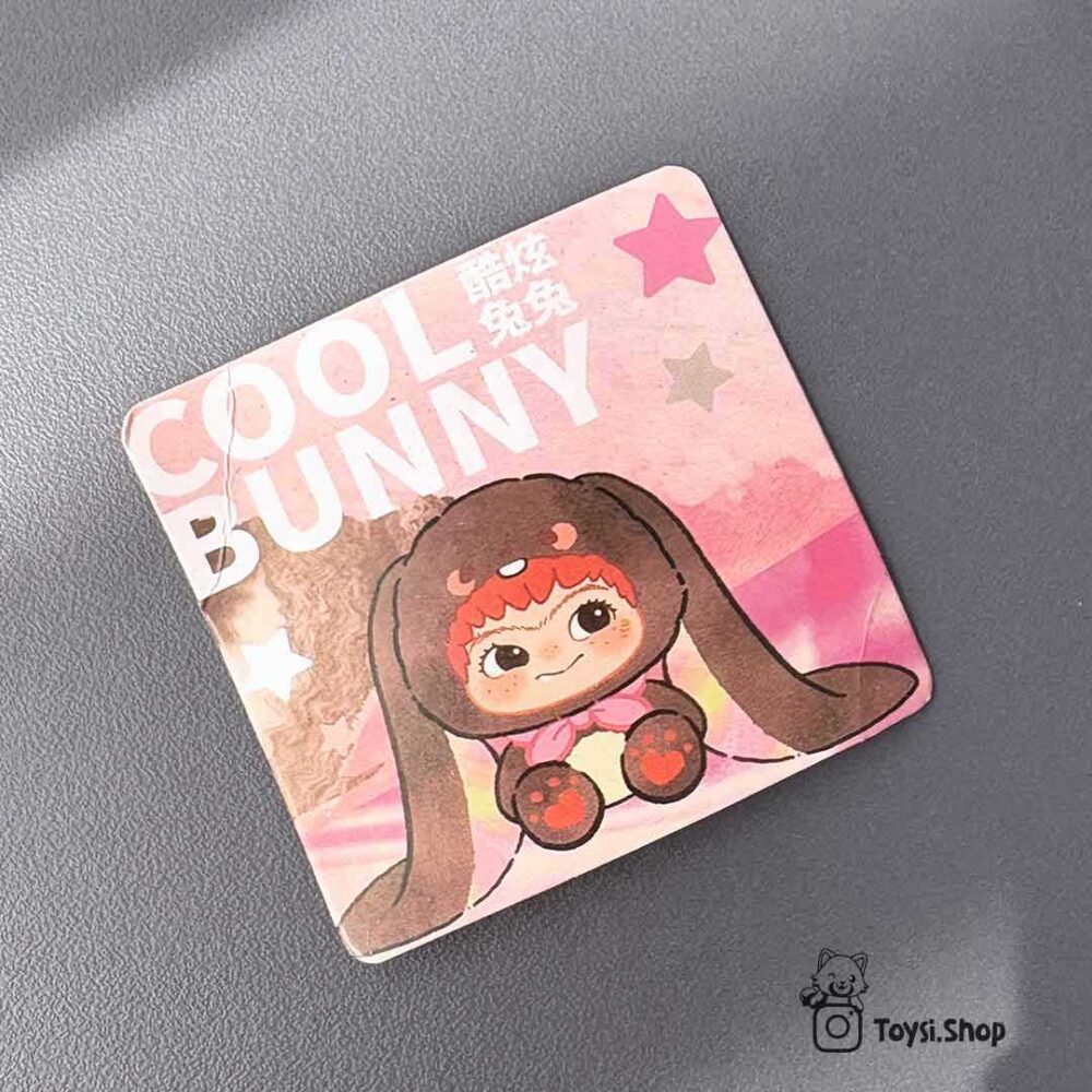 خرید عروسک بلایندباکس واکوکو طرح fox and bunny