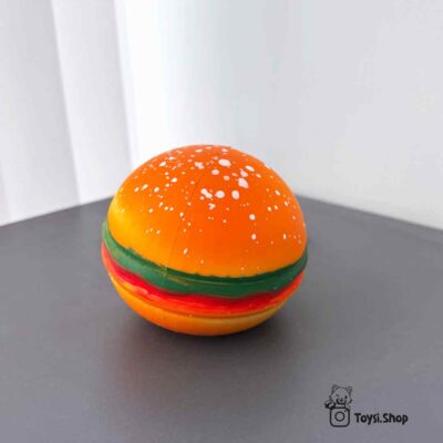 خرید اسکوییشی برگر خرید اسکوییشی همبرگر