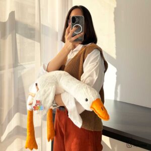 پتو دار بالشتی