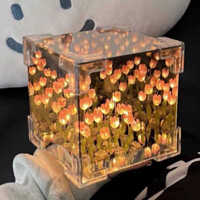 چراغ خواب دشت لاله