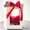 خرید کادو ولنتاین باکس قلب قرمز